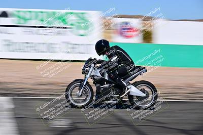 media/Mar-08-2025-Classic Track Day (Sat) [[6e74c245ee]]/Open Track/3Start-Finish (130-2pm)/